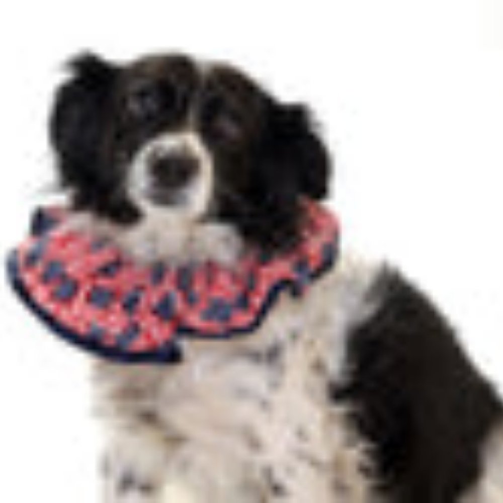 PATRIOTIC PUP rrrufler Large